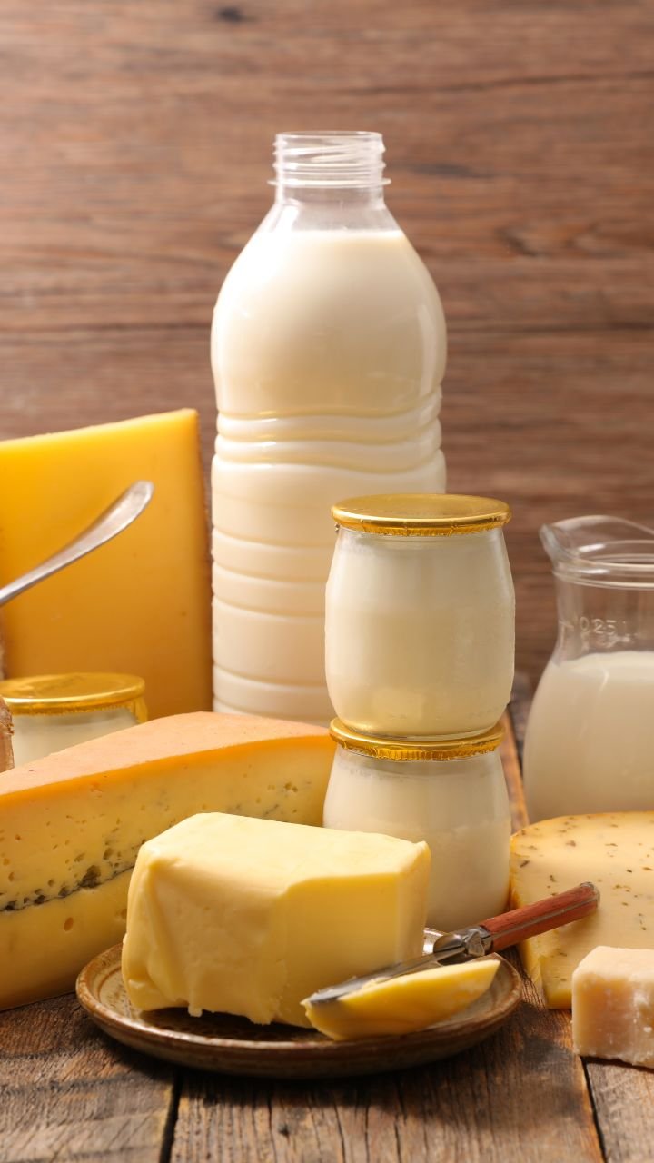 Dairy Products Image